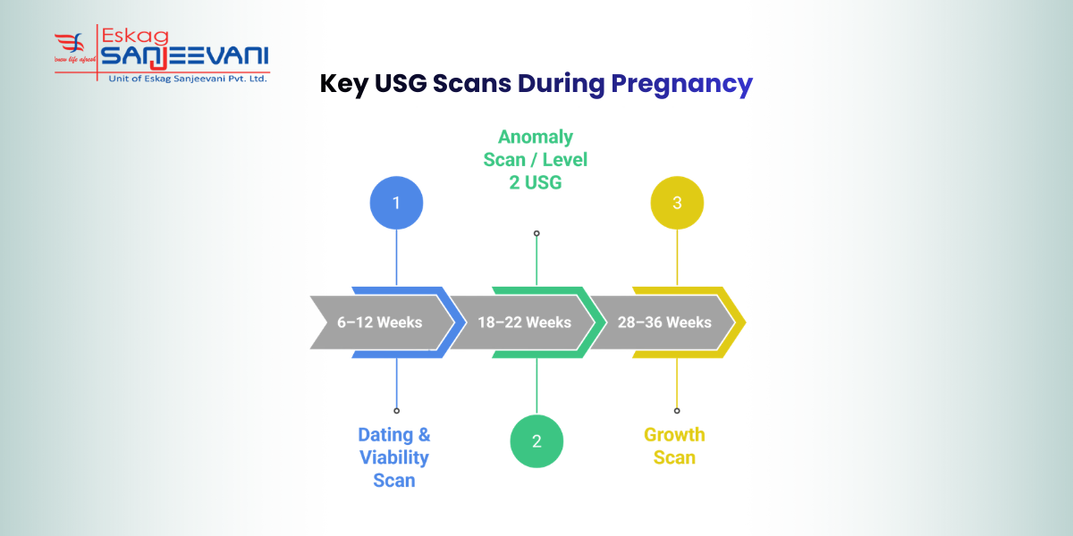 Key USG scans during pregnancy