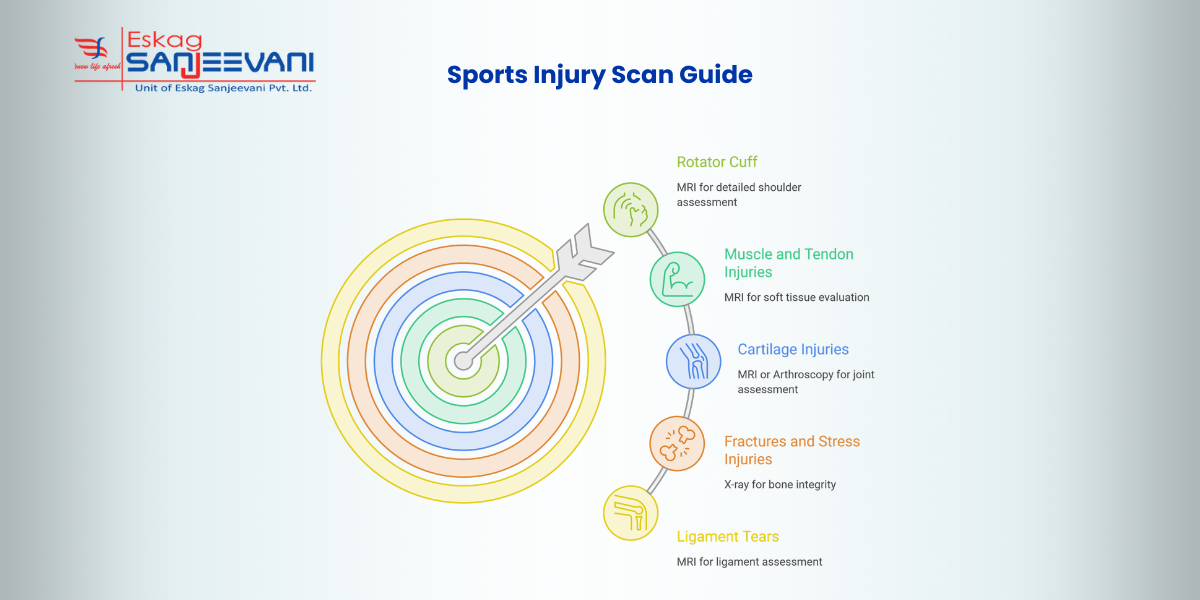 sports injury scan guide