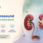 kidney ultrasound