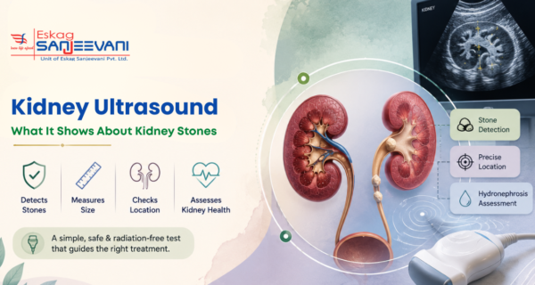kidney ultrasound