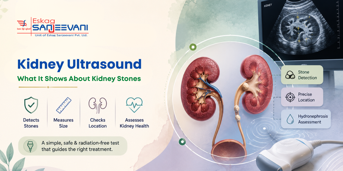 kidney ultrasound